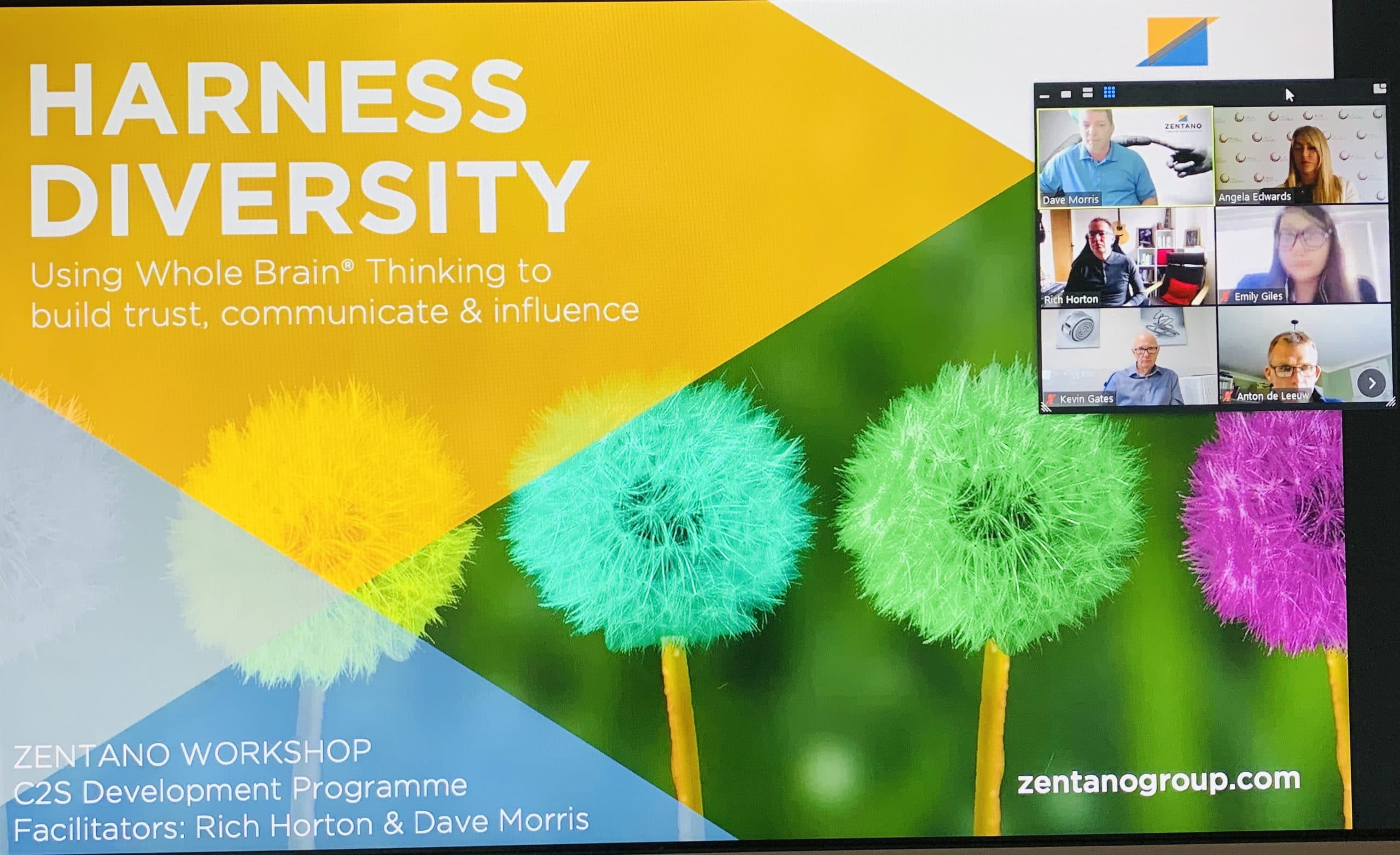 C2S Development Programme Launched with Zentano Looking at Whole Brain Thinking