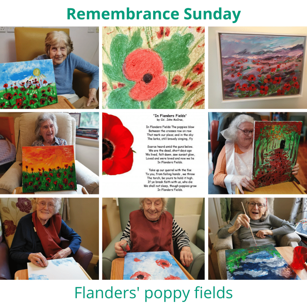 Flanders Poppy Fields Remembrance Sunday